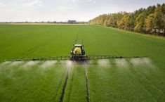 Agriculture and allied products industry