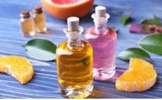 Flavours and fragrances industry