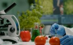 Food processing industry